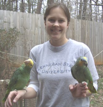 Amazon Parrots