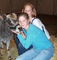 Always time for a cow hug