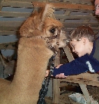Daniel Alpaca at New Hope Christian Worship Center