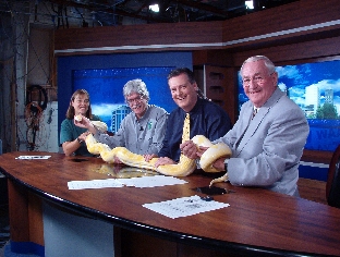 Hope and Dr. Fitzgerald and Hugger the python on the news