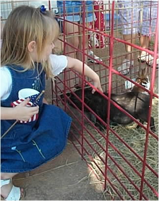 Ham at a petting zoo